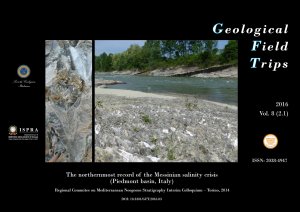 Geological Field Trips and Maps - vol. 8 (2.1)/2016