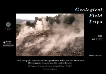 Geological Field Trips and Maps - vol. 2.2 2011